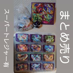 ポケモンフレンダ フォルダ&ピック&テラスタルオーブ まとめ売り