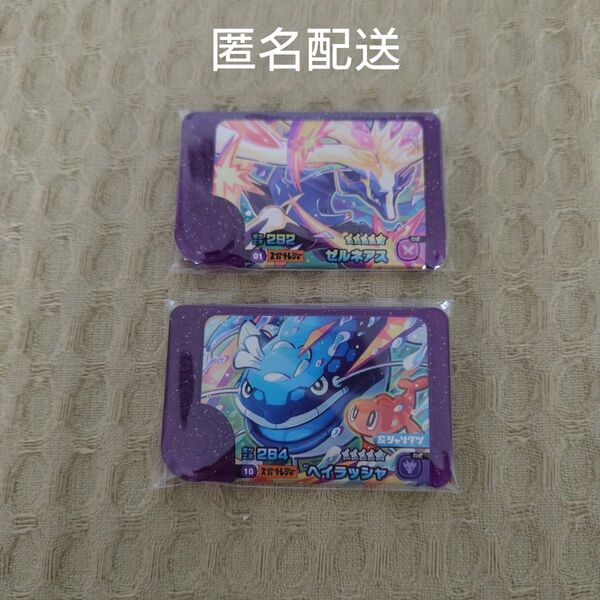 ヘイラッシャ ゼルネアス スーパートレジャー ポケモンフレンダ