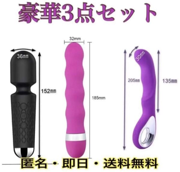3点 匿名配送 即日出荷 箱入り 肩こり電動マッサー ローター ハンディマッサージャーusb充電バイブ 肩こり 電マ