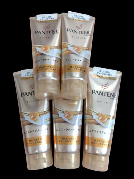 パンテーン エクストラダメージケア デイリー補修トリートメント ヘアマスク 150g×5個