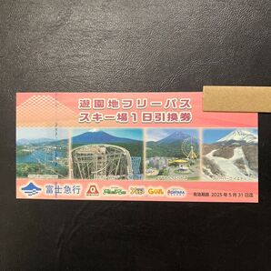 富士急ハイランド フリーパス 匿名追跡土日配送