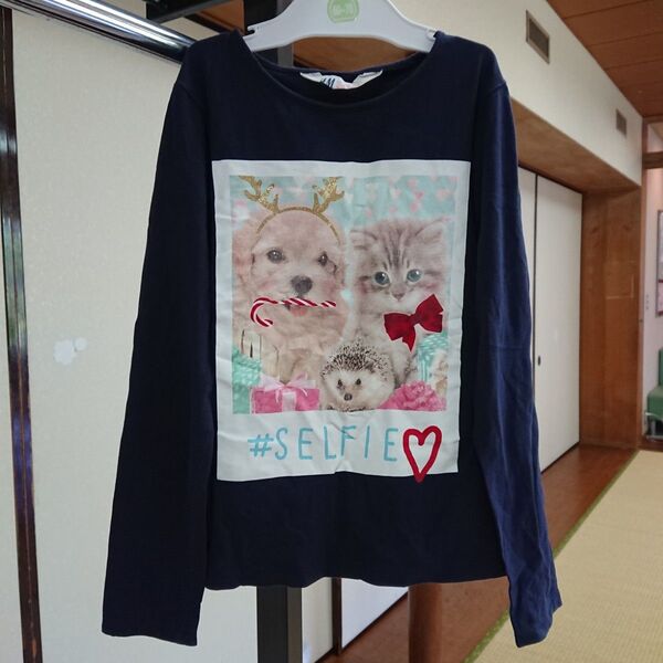 H&M 女の子 子犬 & 子猫 フォトプリント 130