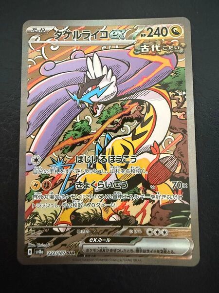 タケルライコex 222-187 SAR ポケモンカード ポケモンカードゲーム ポケカ