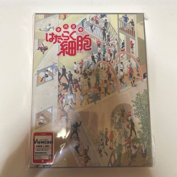 舞台「はたらく細胞」DVD 特典付き