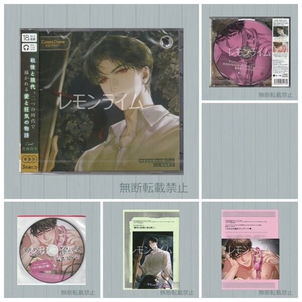 Cone and Dome セレクション Vol.1 特典CD付 佐和真中