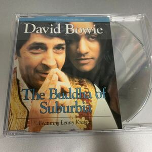 David Bowie / Buddha of Suburbia