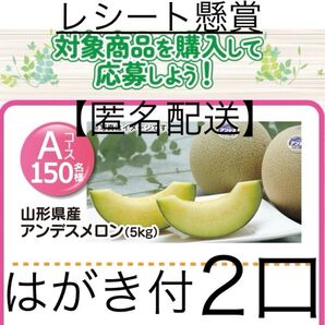 懸賞応募 2口分 アンデスメロン5kgが抽選で当たるキャンペーン レシート応募【匿名配送】