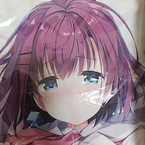 有村ロミ 抱き枕カバー アインシュタインより愛を込めて きみしま青 GLOVETY 未開封