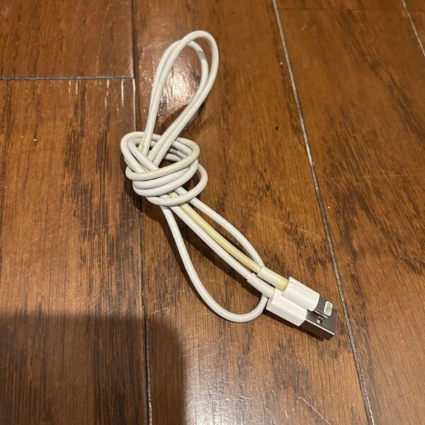 Apple純正 Lightningケーブル USB端子 ホワイト 1m 充電ケーブル