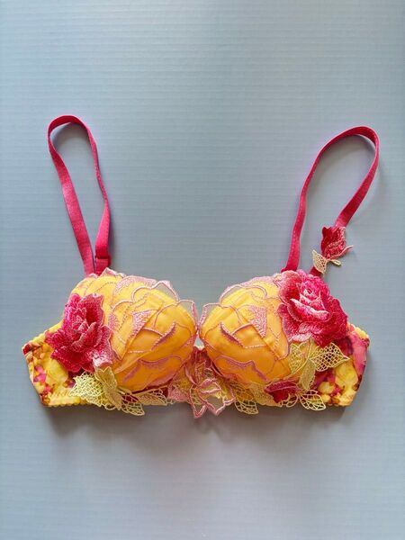 サルート 43G 美女と野獣 ブラジャー C65