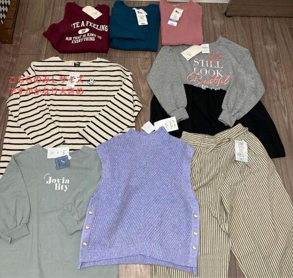 全て新品 レディース 春夏秋冬 オールシーズン まとめ売り 大きいサイズ LL