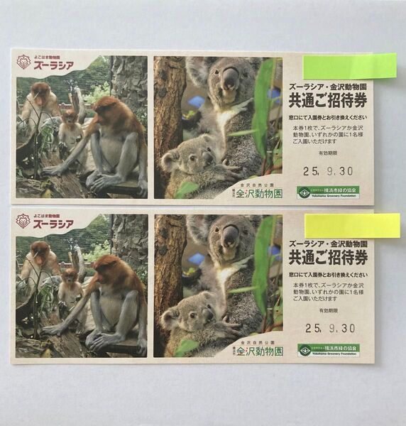 ズーラシア 金沢動物園 共通ご招待券 2枚セット