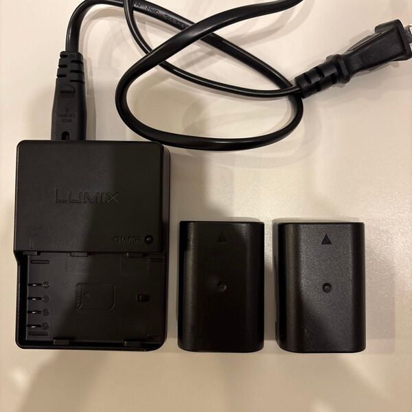 Panasonic DMW-BLF19 バッテリーパック 2個セット+充電器付き