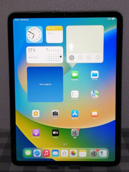 Apple iPad Pro 11インチ(第1世代) Wi-Fiモデル 256GB スペースグレイ