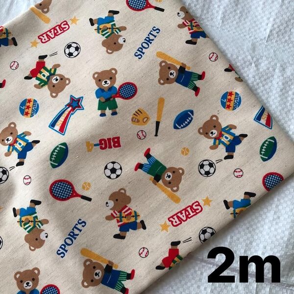 No.248 ②【スポーツ柄】綿70%・麻30% 生地 ハギレ 2m