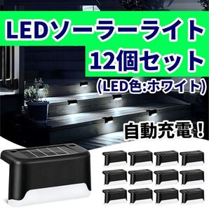 【翌日発送!】LEDソーラーライト12個(LED色:ホワイト) ガーデンライト
