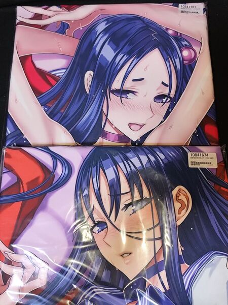絶対少女 RAITA 魔法少女 鈴原美沙 新田由比 抱き枕カバー 2枚set ミサ姉 ライクトロンリッチ 正規品 新品未開封