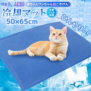 新品 ペットベッド 65×50cm 瞬間冷却 ひんやり 冷却 マット 夏用 犬 猫 ジェルシート クールマット 冷感マット