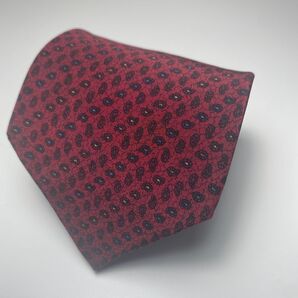 No.65 ネクタイ ペイズリー柄 レッド系 シルク