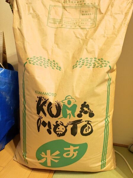 熊本県産 ヒノヒカリ 10.2kg 令和6年産 5/19精米済
