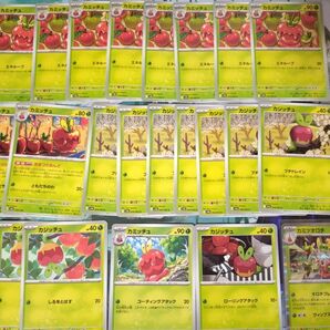 ポケモンカード ★カジッチュ★カミッチュ★カミツオロチ