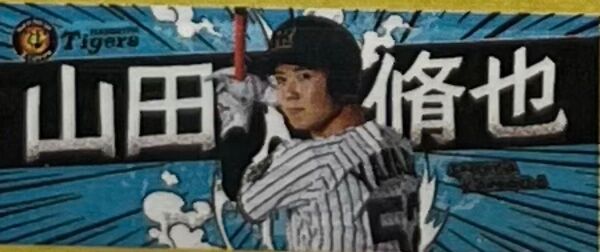 阪神タイガース 山田修也 フォトタオル
