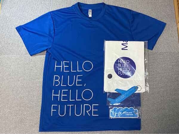 ANA オリンピック フライトタグ キーホルダー Tシャツ ピンバッジ タオル