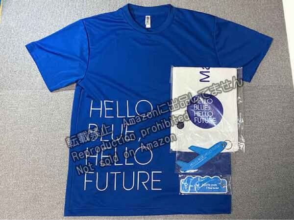 ANA オリンピック フライトタグ キーホルダー Tシャツ ピンバッジ タオル