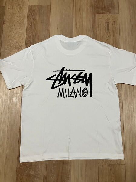 STUSSY 半袖 Tシャツ L 白 新品未使用