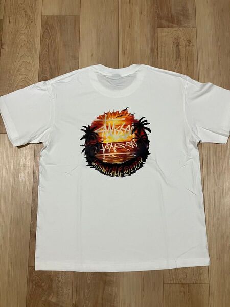 STUSSY 半袖Tシャツ 白 L 新品未使用