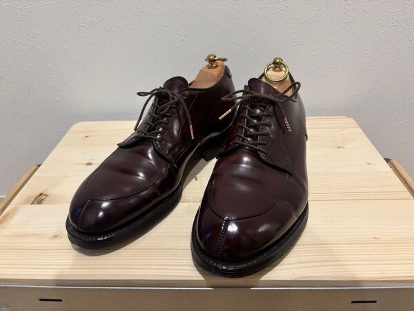 Alden オールデン #54321 US6D 24cm Vチップ