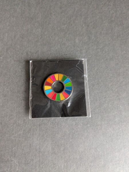 SDGs ピンバッジ マグネット 徽章