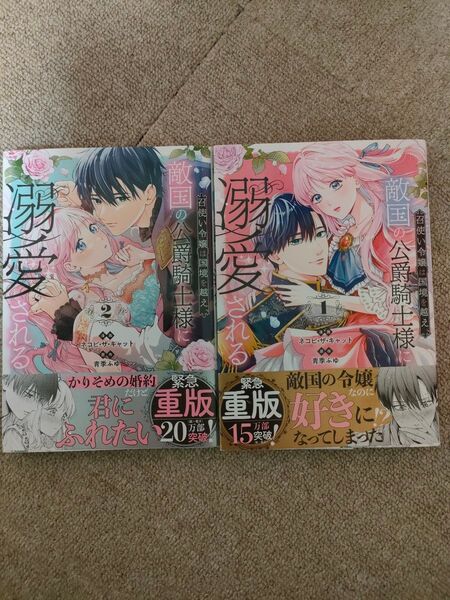 召使い令嬢は国境を越え、敵国の公爵騎士様に溺愛される 2 (POLARIS COMICS) ネコピ・ザ・キャット/漫画 青季ふゆ