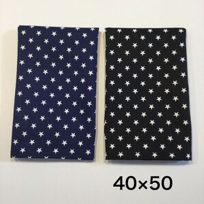 ランチョンマット 40×50 小学校 2枚セット