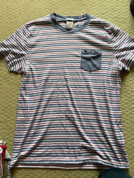 Abercrombie & Fitch(アバクロンビー&フィッチ)Tシャツ