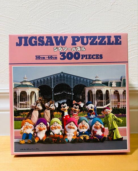 実写 東京ディズニーランド ジグソーパズル 300ピース