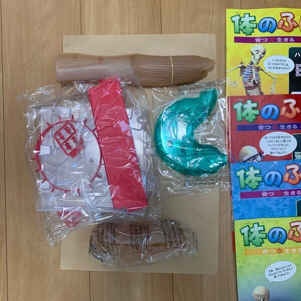 学研 体のふしぎ 付録 人体模型 まとめ売り