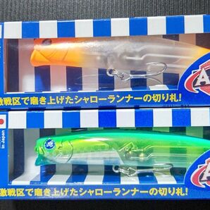 新品 BlueBlue AIZER 100F ブルーブルー アイザー100F ニッコリー、パンプキングロー 2個セット