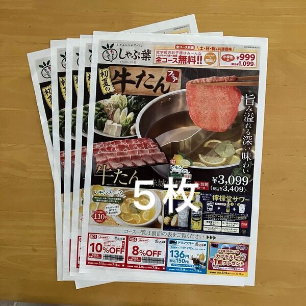 しゃぶ葉クーポン付チラシ5枚