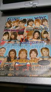 ●送料無料●プロレスリングWAVE 2012年パンフレット●華名、栗原あゆみ、大畠美咲●女子プロ●