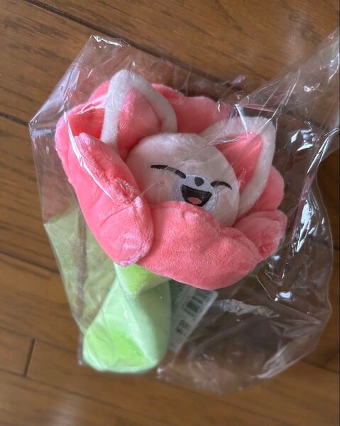 skzoo スキズ straykids フォクシニー アイエン ペンケース ぬいぐるみ