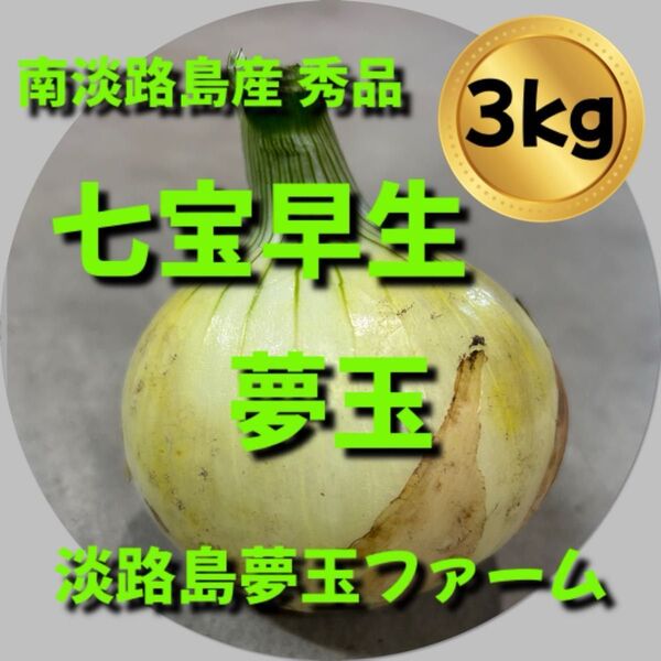 淡路島産新玉ねぎ 秀品 3kg 七宝早生 甘い 高糖度 夢玉 農家直送 有機肥料 減農薬