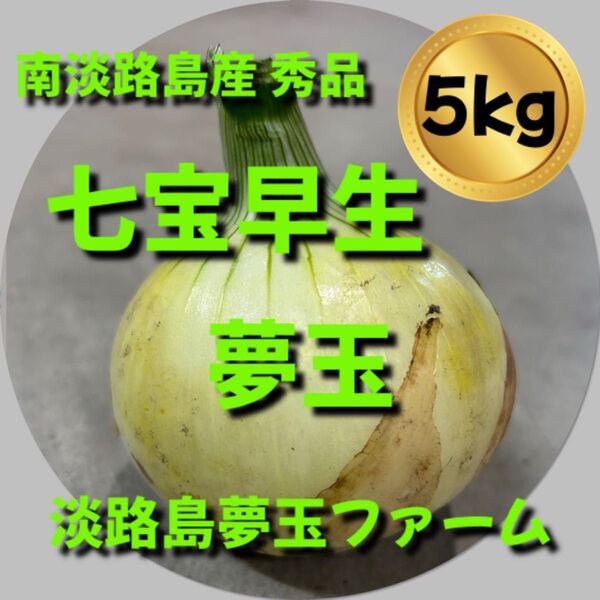 淡路島産新玉ねぎ 秀品 5kg 七宝早生 甘い 高糖度 夢玉 農家直送 有機肥料 減農薬