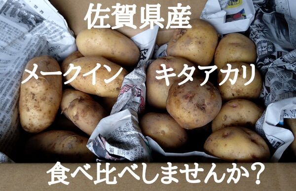 ☆佐賀県産 新ジャガイモ メークイン&キタアカリ 各1Kg 合計2Kg 食べ比べセット 農家直送☆