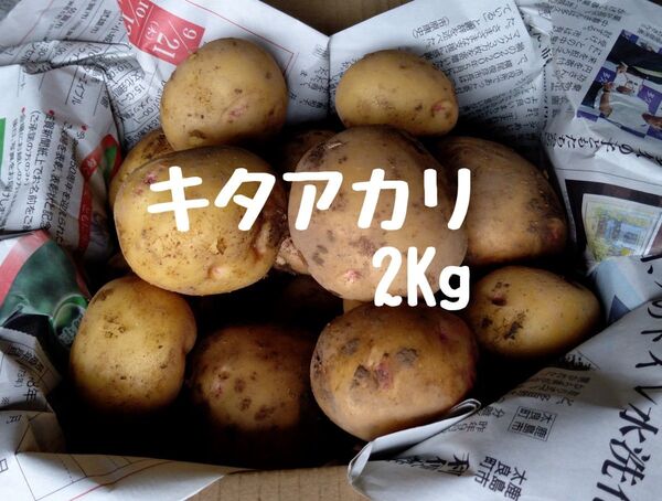 ☆キタアカリ 2Kg 新じゃがいも 佐賀県産 農家直送☆