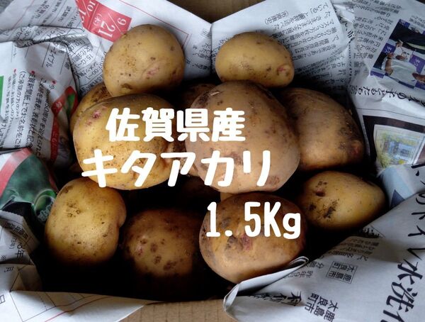 ☆キタアカリ 1.5Kg 新じゃがいも 佐賀県産 農家直送☆