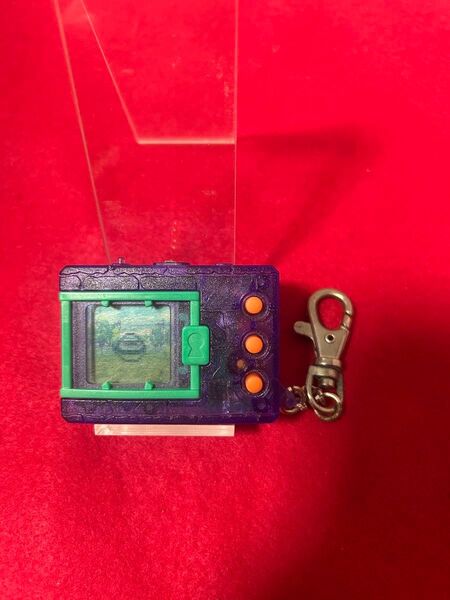 【美品】希少 デジタルモンスター★デジモン★スケルトンパープル