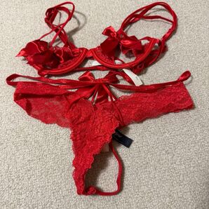 撮影会衣装 ダンサー コンパニオン レースクイーン レッド セットアップ ラヴィジュール ravijour