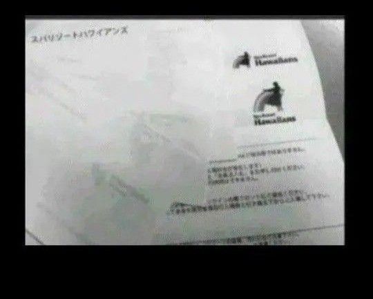【有効期限2025年6月30日】ハワイアンズ 無料入場券 施設利用券