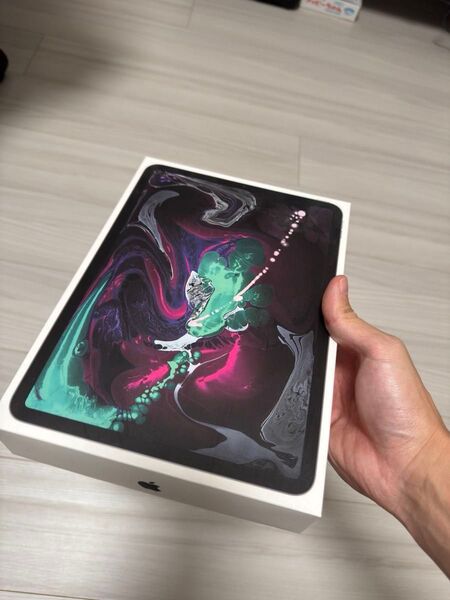 iPad Pro 11インチ 第一世代 256gb wifiモデル Apple スペースグレイ